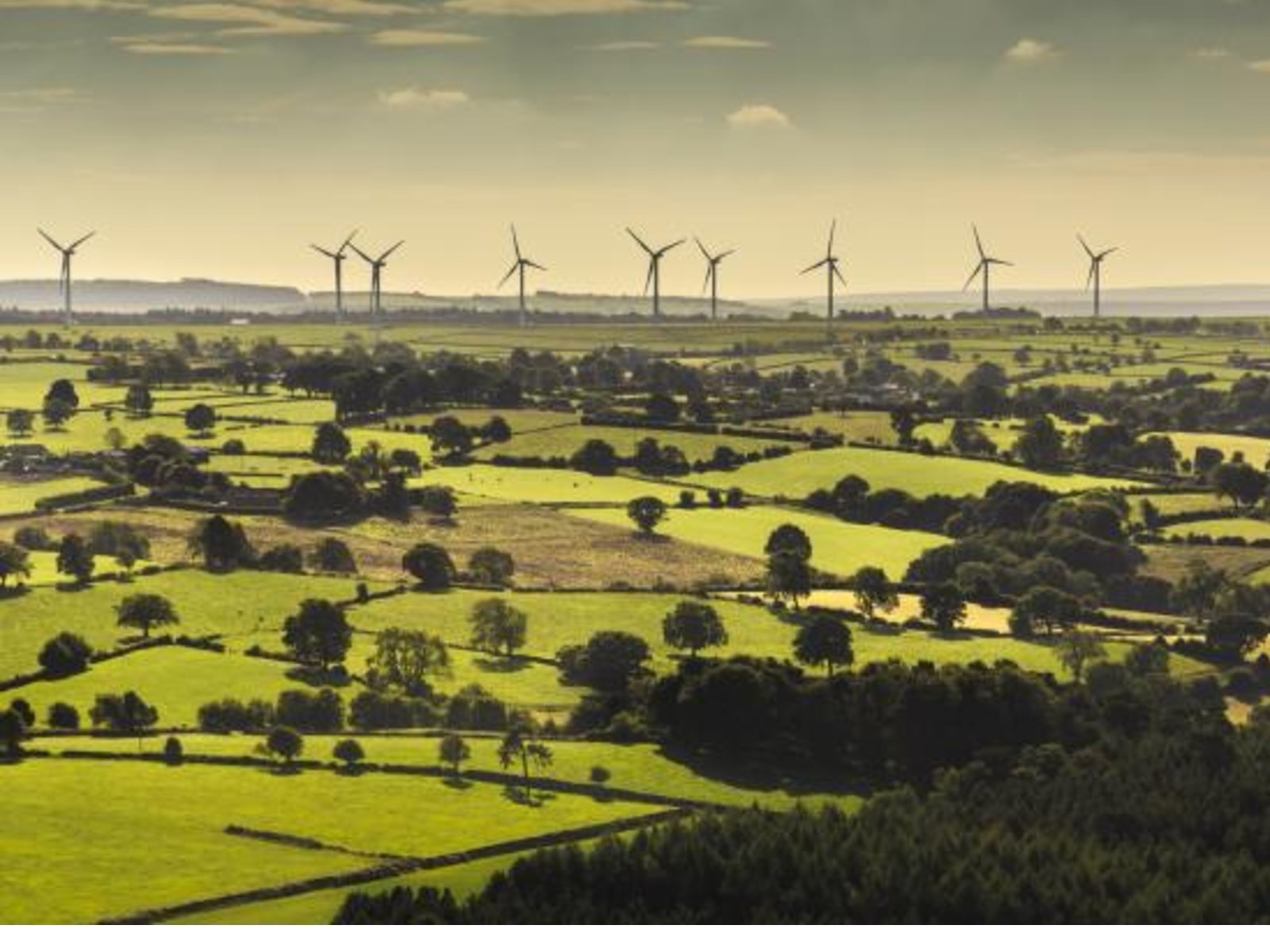 Windmills in Leeds