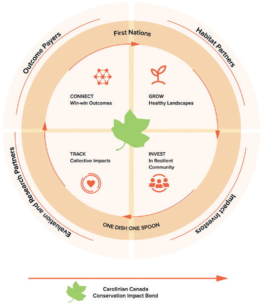 A diagram of the conservation impact bond model